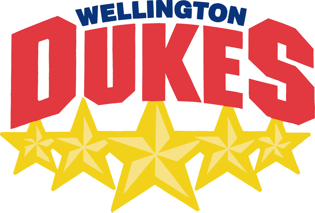 Wellington Dukes 2006-Pres Primary Logo iron on transfers for T-shirts